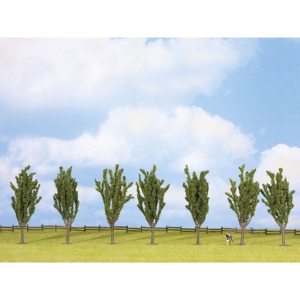 Pappeln, 7 Stück, 12 cm  