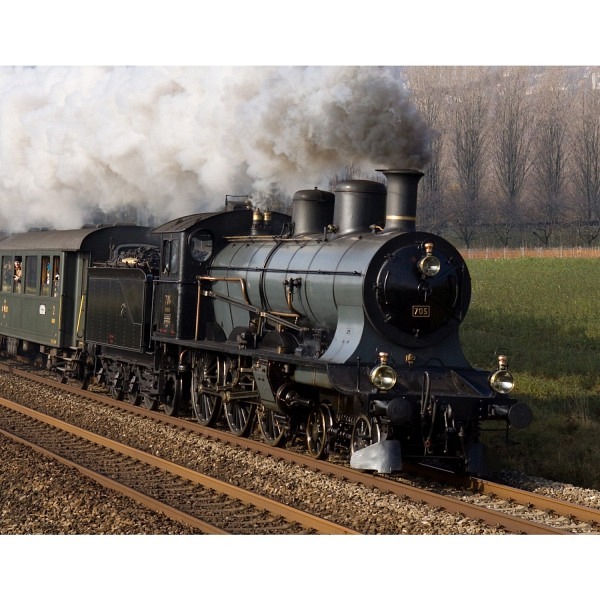 SBB Schnellzug-Dampflokomotive A 3/5 739 schwarz  