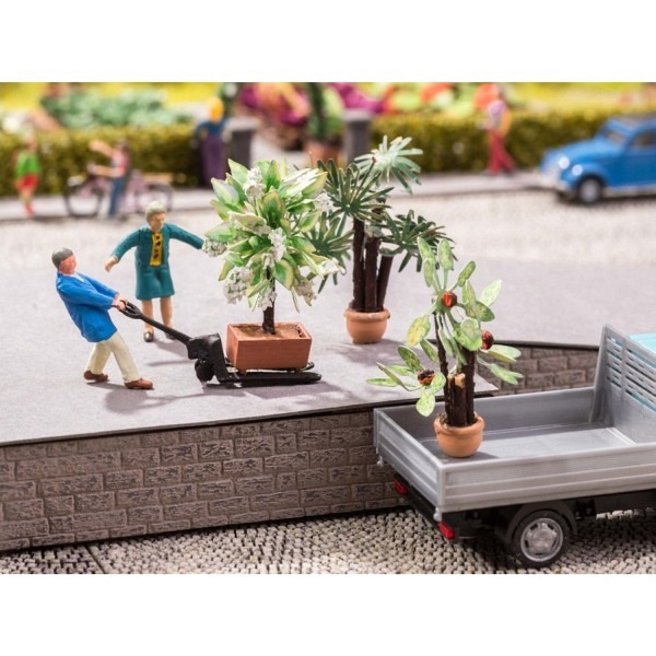 L-C minis Mediterrane Pflanzen, 3 Stück  