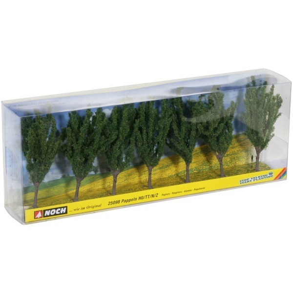 Pappeln, 7 Stück, 12 cm  