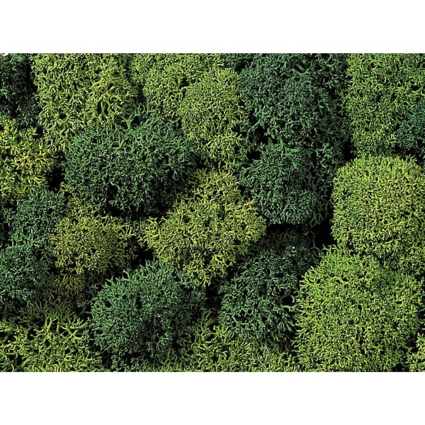 Dekormoos, hell- und dunkelgrün, sortiert, Inhalt 75 gr. 