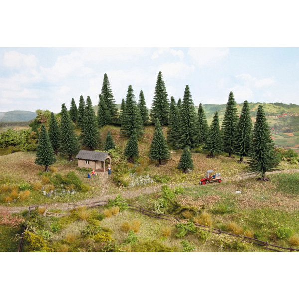 Stecktannen, 10 Stück, 6 - 15 cm hoch   